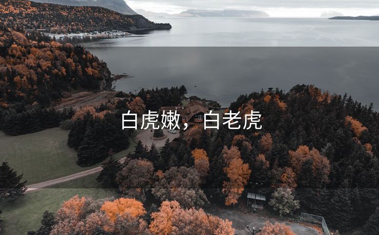 白虎嫩，白老虎